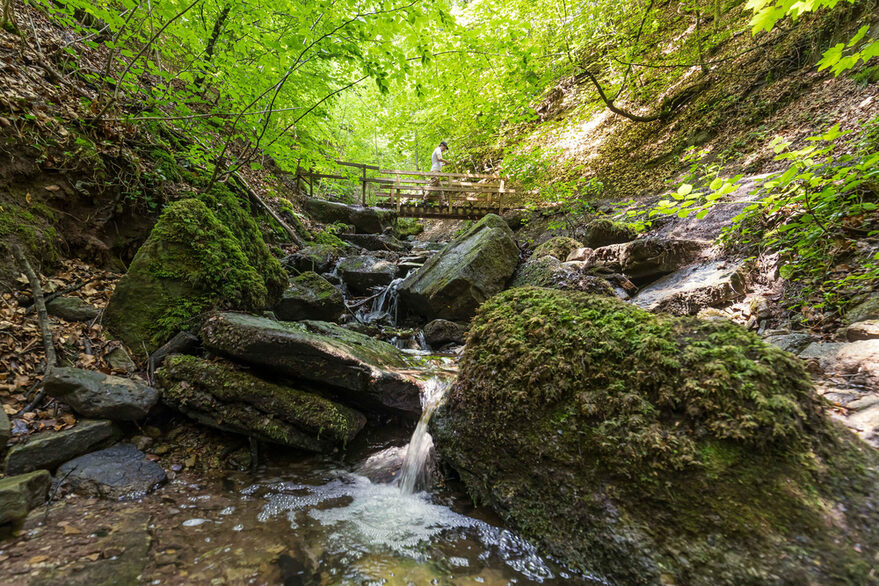 Heslacher Wasserfälle im Wald