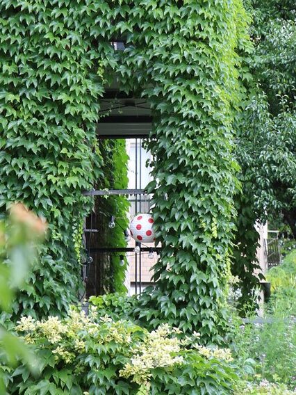 Begrünte Fassade an einem Haus mit vielen grünen Blättern