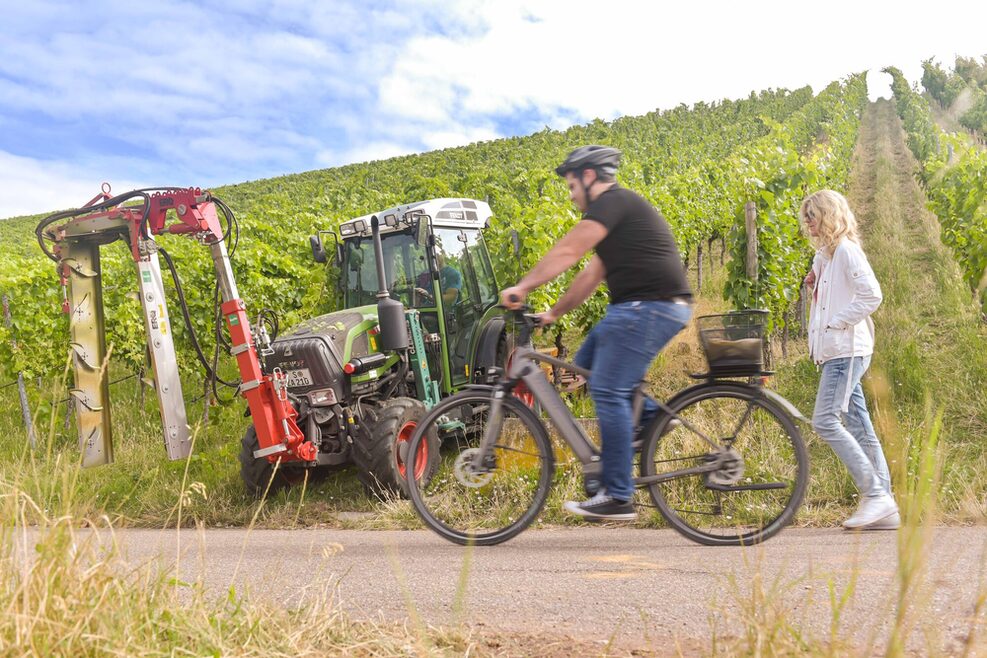 Gefahrenstelle Weinberg: Ein Radfahrer überholt eine Fußgängerin, auf dem Gehweg ist wenig Platz.