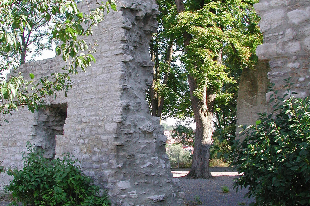 Burgruine Mühlhausen