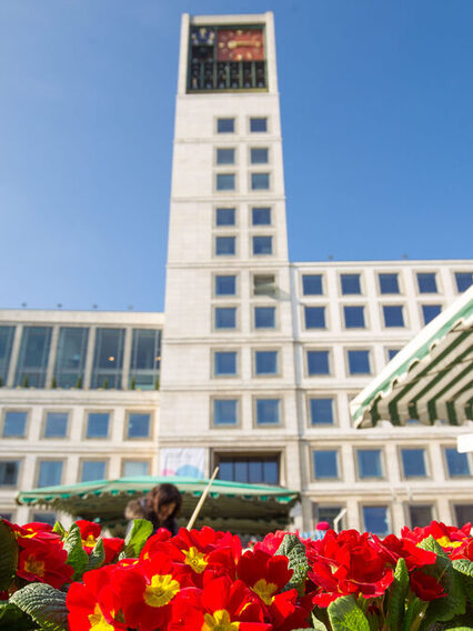 Das Rathaus ist Sitz der Stadtverwaltung. Hier finden Sie alle Informationen vom Gemeinderat bis zum Oberbürgermeister.