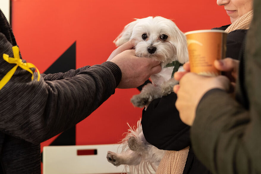 Am Hauptbahnhof Stuttgart hält eine Frau einen kleinen weißen Hund.