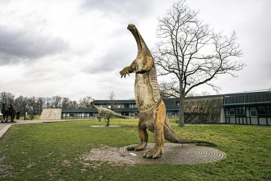 Das Museum für Naturkunder in Stuttgart von außen