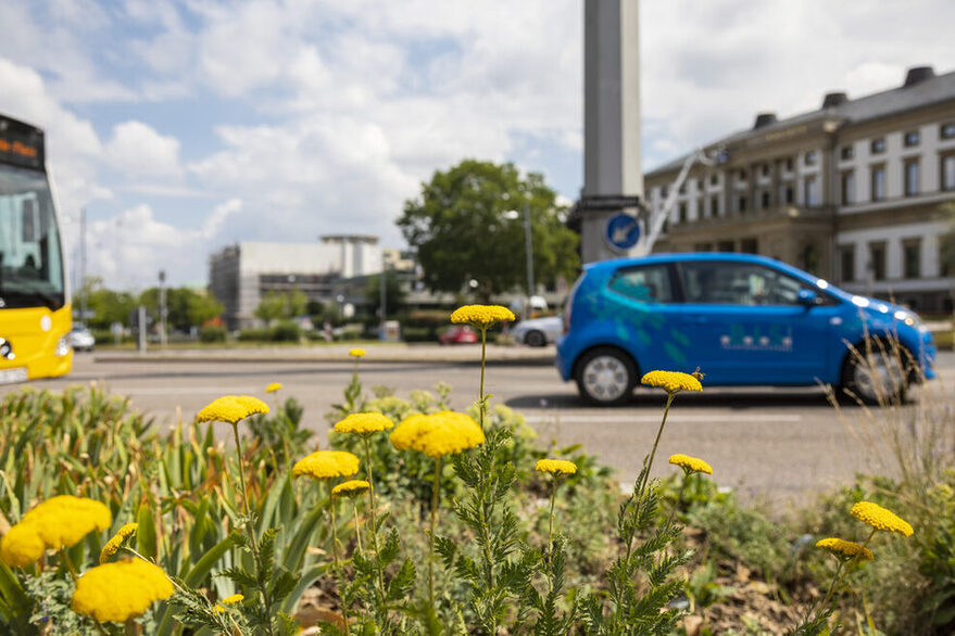 Ein Bus der SSB und ein blauer Kleinwagen fahren über den Charlottenplatz. Im Vordergrund gelbe Blumen.