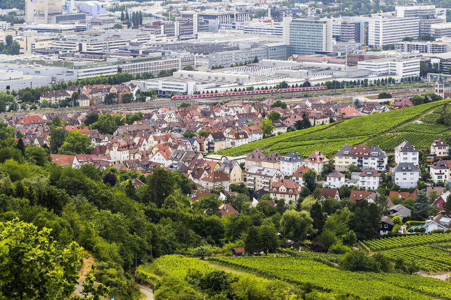 Blick auf Untertürkheim mit Weinbergen im Vordergrund.