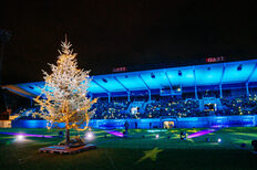 Ein geschmückter Weihnachtsbaum im beleuchteten GAZi-Stadion.