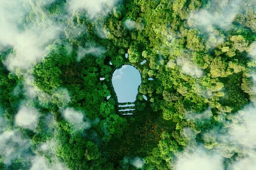 Lake in the shape of a light bulb is located in the middle of a green forest.