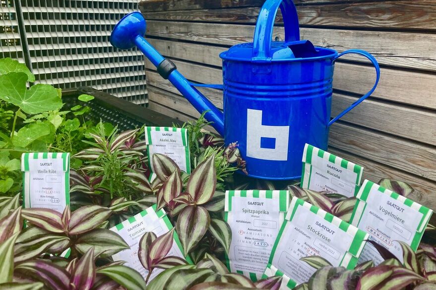 Eine blaue Gießkanne mit dem Logo der Stadtbibliothek steht in einem Pflanzbeet, in dem Samentütchen verteilt sind.