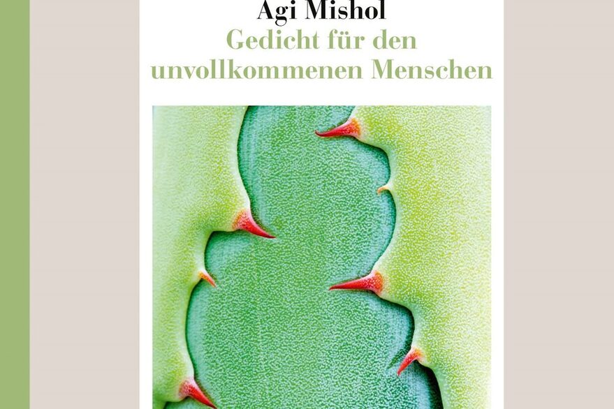 Buchcover mit einem Abstrakten Bild in Grüntönen mit roten Akzenten, dem Titel des Buches "Gedicht für den unvollkommenen Menschen" und dem Namen der Autorin "Agi Mishol"