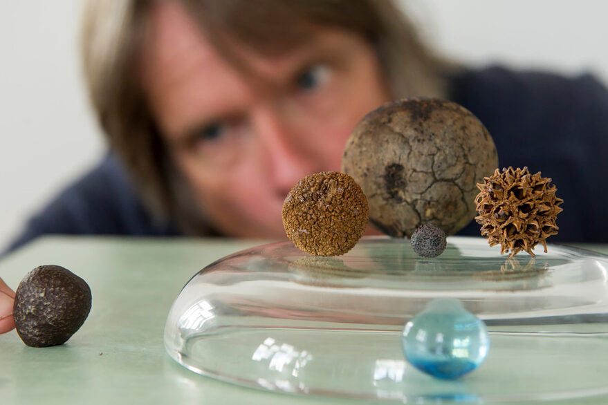 Im Vordergrund umgedrehte flache Glasschale, darauf unterschiedliche runde Naturmaterialien, Spieler im Hintergrund animiert rundes Naturmaterial neben Glasschale.