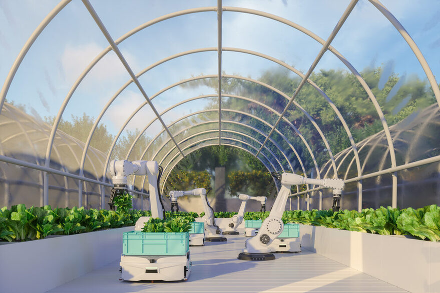 Smart-Farming-Technologie mit Roboterarmen, die in einem automatisierten Gewächshaus Gemüse ernten